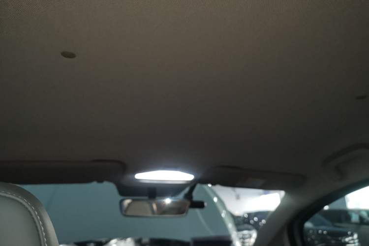 Used Geometry E Firefly 2024 401 km Fluorescent Headliner