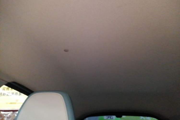 Used Geometry E Firefly 2024 301km Starlight Headliner