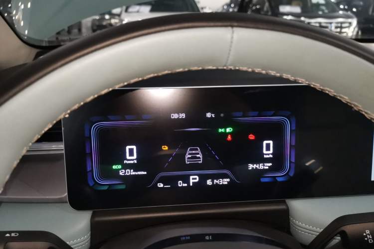 Used Geometry E Firefly 2024 401 km Fluorescent Instrument Cluster