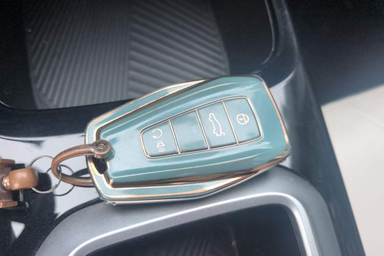 Used Geometry E Firefly 2024 301km Starlight Interior 1