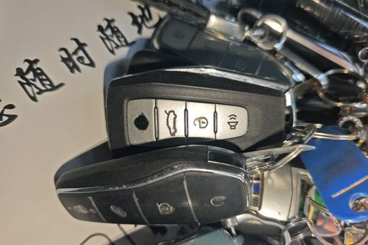Used Geometry E Firefly 2024 301km Starlight Interior 1