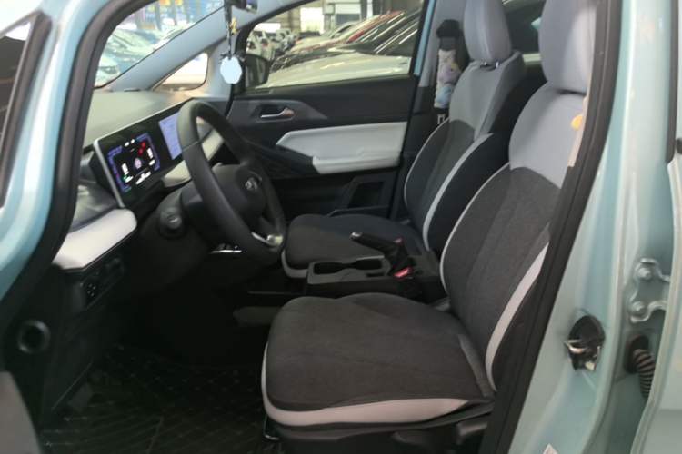Used Geometry E Firefly 2024 301km Flowing Light Left Front Seat