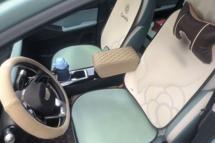 Used Geometry E Firefly 2024 401km Starlight Left Front Seat