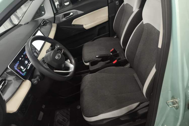 Used Geometry E Firefly 2024 301km Flowing Light Left Front Seat