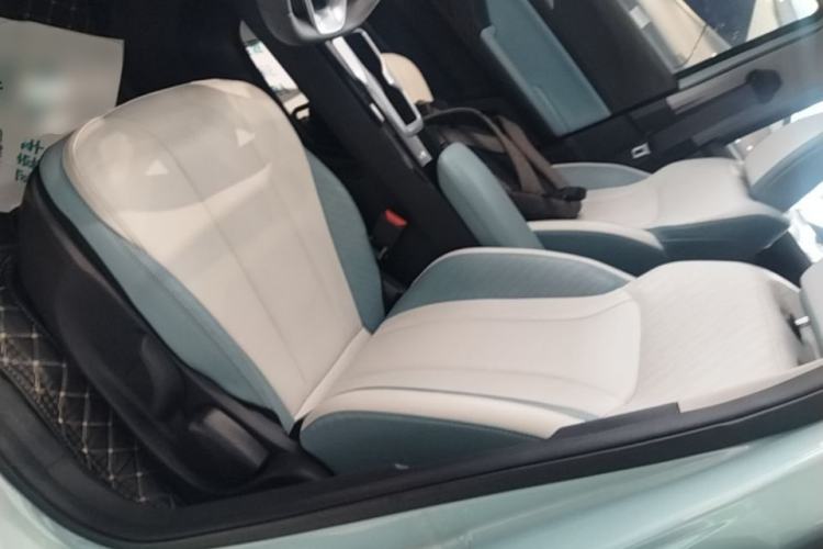 Used Geometry E Firefly 2024 301km Starlight Left Front Seat