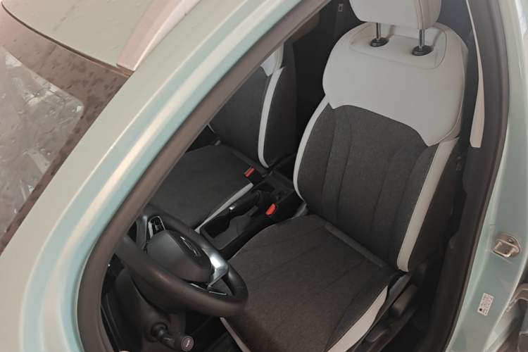 Used Geometry E Firefly 2024 301km Longteng Edition Left Front Seat