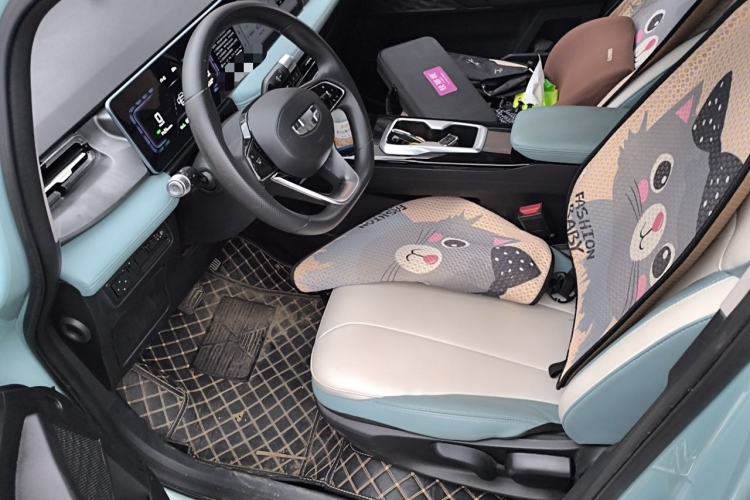 Used Geometry E Firefly 2024 301km Starlight Left Front Seat