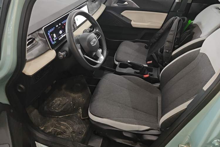 Used Geometry E Firefly 2024 301km Longteng Edition Left Front Seat