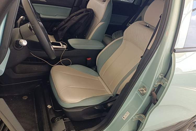 Used Geometry E Firefly 2024 301km Starlight Left Front Seat
