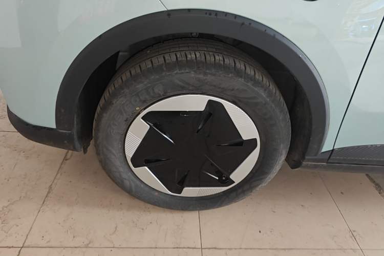 Used Geometry E Firefly 2024 301km Longteng Edition Left Front Wheel Hub