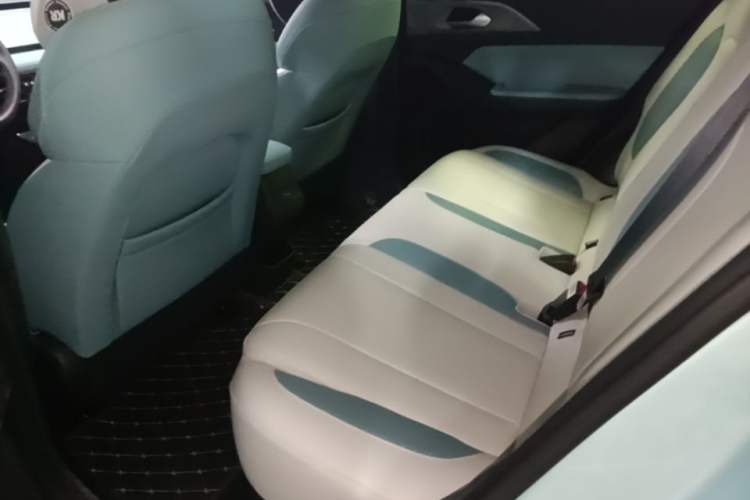 Used Geometry E Firefly 2024 401km Starlight Left Rear Seat