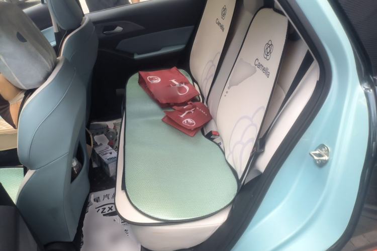 Used Geometry E Firefly 2024 401km Starlight Left Rear Seat