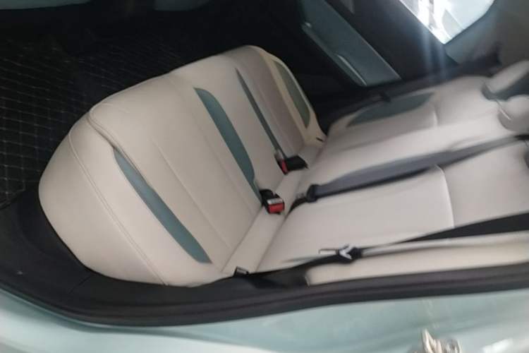 Used Geometry E Firefly 2024 301km Starlight Left Rear Seat