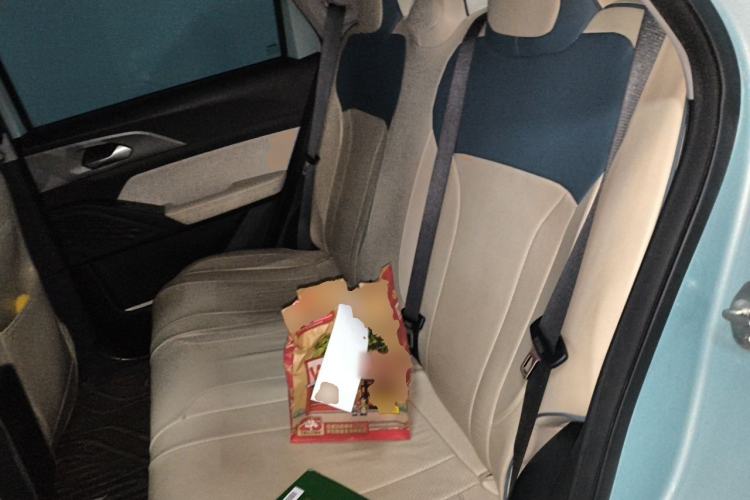 Used Geometry E Firefly 2024 301km Flowing Light Left Rear Seat