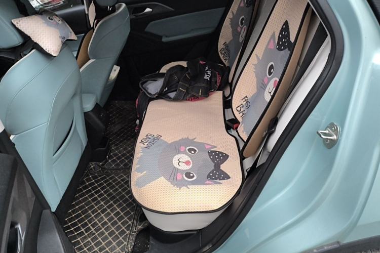 Used Geometry E Firefly 2024 301km Starlight Left Rear Seat
