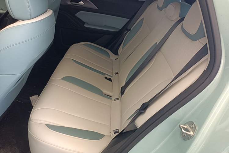 Used Geometry E Firefly 2024 301km Starlight Left Rear Seat