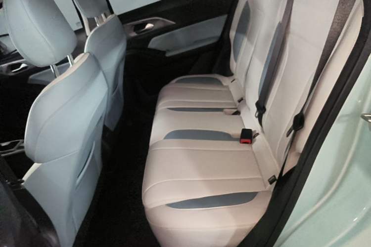 Used Geometry E Firefly 2024 301km Starlight Left Rear Seat