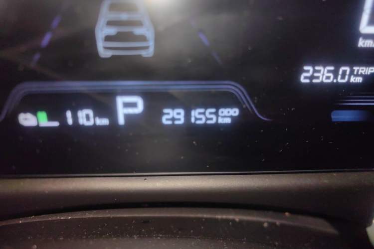 Used Geometry E Firefly 2024 301km Starlight Odometer Close Up