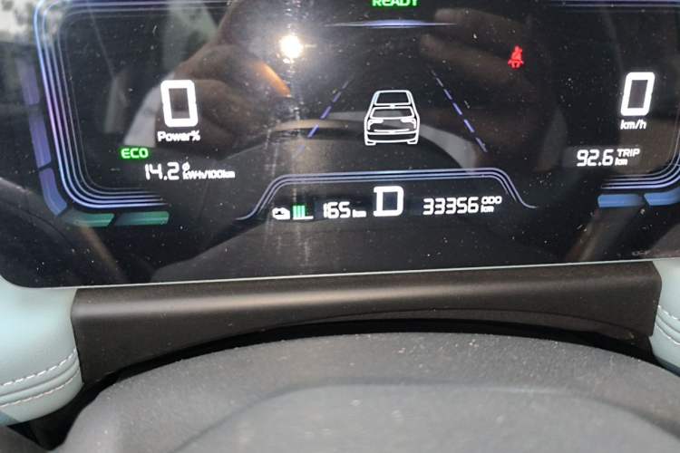 Used Geometry E Firefly 2024 301km Starlight Odometer Close Up