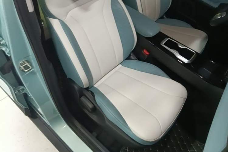 Used Geometry E Firefly 2024 401km Starlight Right Front Seat