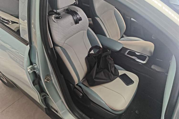 Used Geometry E Firefly 2024 301km Starlight Right Front Seat