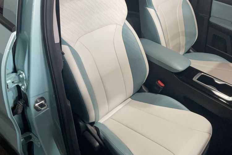 Used Geometry E Firefly 2024 401km Starlight Right Front Seat
