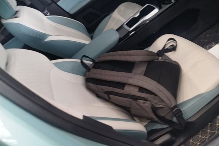 Used Geometry E Firefly 2024 301km Starlight Right Front Seat