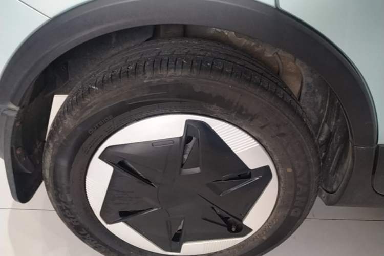 Used Geometry E Firefly 2024 301km Starlight Right Rear Wheel Hub