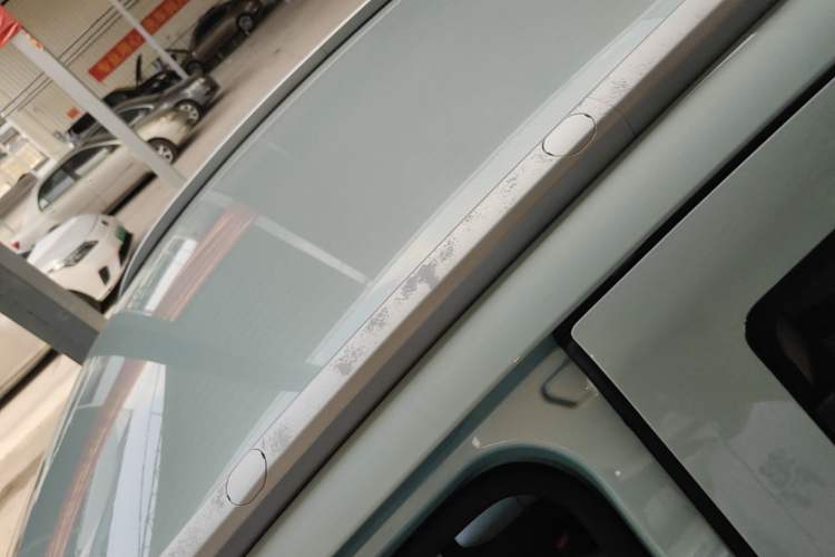 Used Geometry E Firefly 2024 401 km Fluorescent Roof