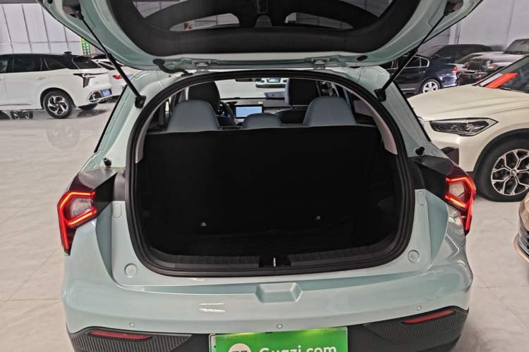Used Geometry E Firefly 2024 301km Starlight Trunk
