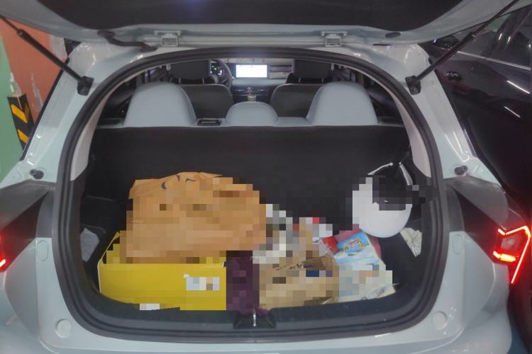 Used Geometry E Firefly 2024 301km Starlight Trunk
