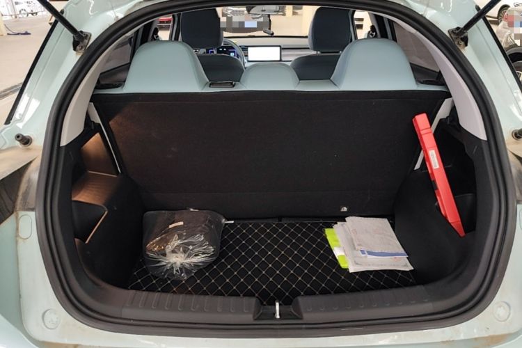 Used Geometry E Firefly 2024 401km Starlight Trunk