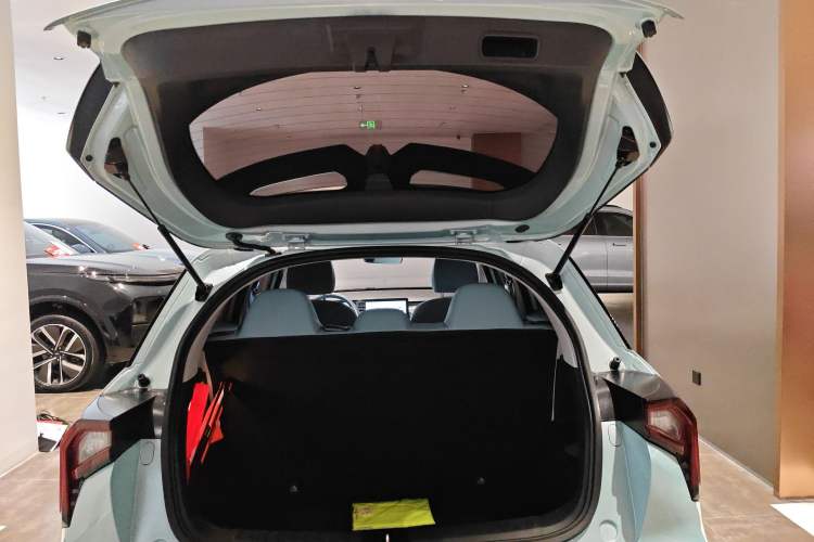 Used Geometry E Firefly 2024 401 km Fluorescent Trunk