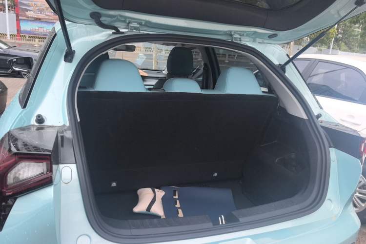 Used Geometry E Firefly 2024 301km Starlight Trunk