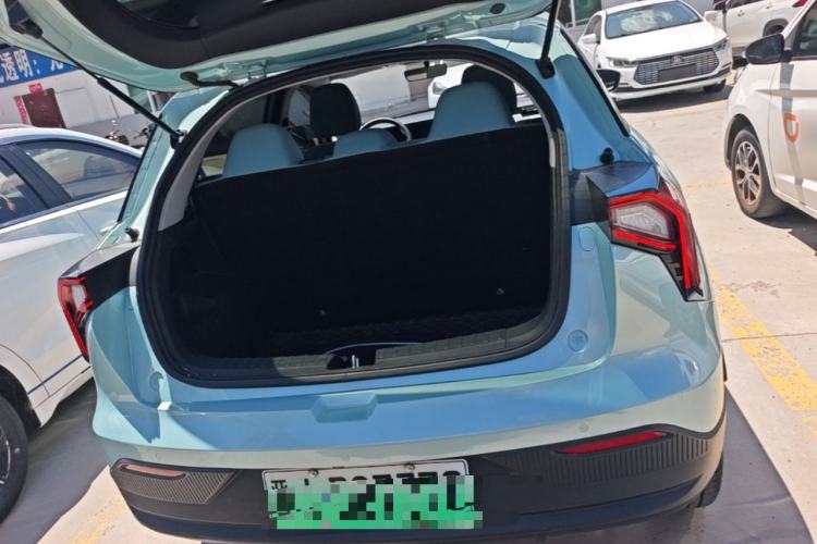 Used Geometry E Firefly 2024 301km Starlight Trunk