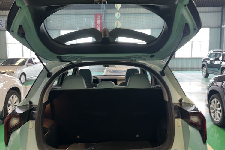 Used Geometry E Firefly 2024 401 km Fluorescent Trunk