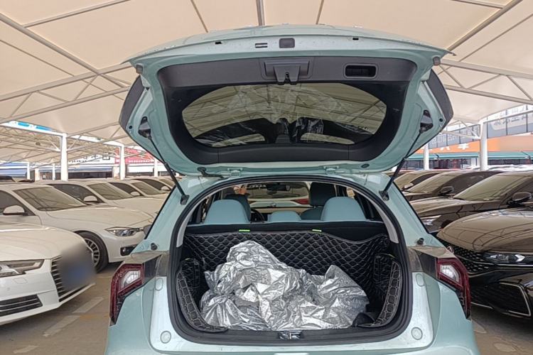 Used Geometry E Firefly 2024 301km Starlight Trunk