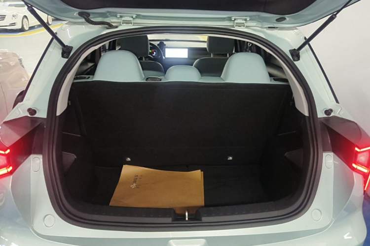 Used Geometry E Firefly 2024 301km Starlight Trunk