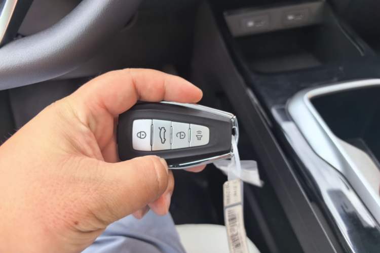 Used Geometry E Firefly 2024 301km Starlight Vehicle Key