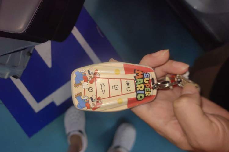 Used Geometry E Firefly 2024 301km Starlight Vehicle Key