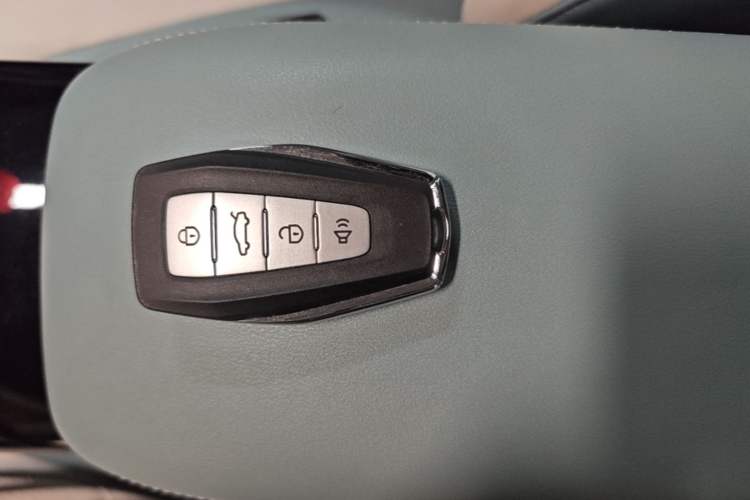 Used Geometry E Firefly 2024 301km Starlight Vehicle Key