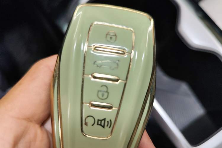 Used Geometry E Firefly 2024 401km Starlight Vehicle Key