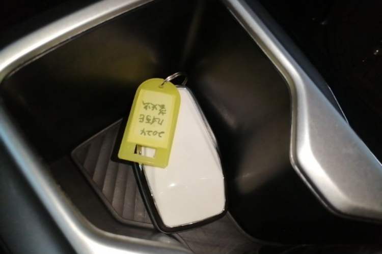 Used Geometry E Firefly 2024 301km Starlight Vehicle Key