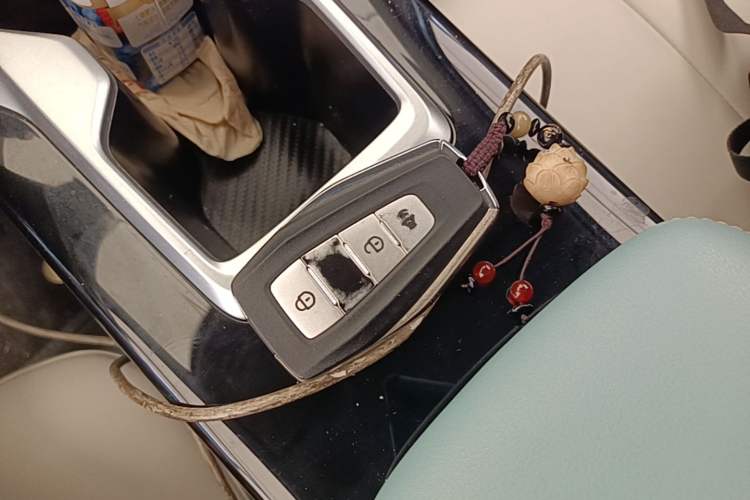 Used Geometry E Firefly 2024 301km Starlight Vehicle Key