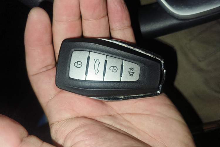 Used Geometry E Firefly 2024 301km Starlight Vehicle Key