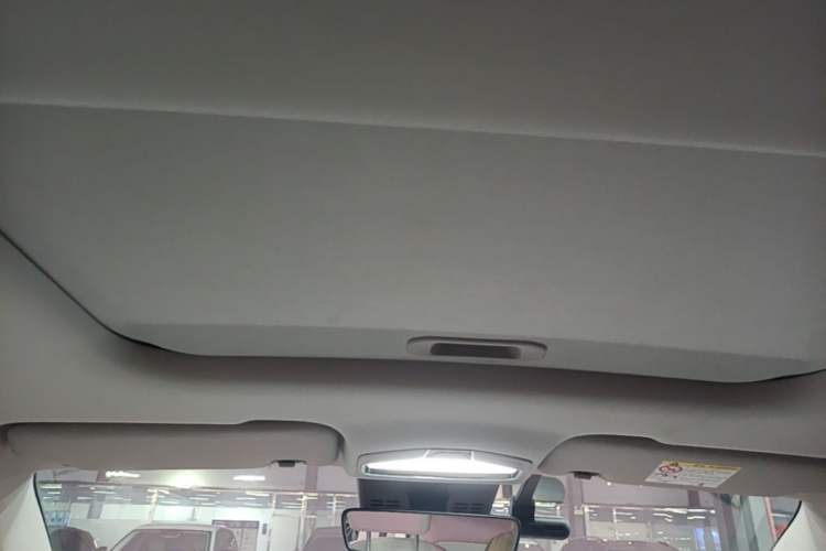 Used Geometry E Firefly 2024 401 km Fluorescent Headliner