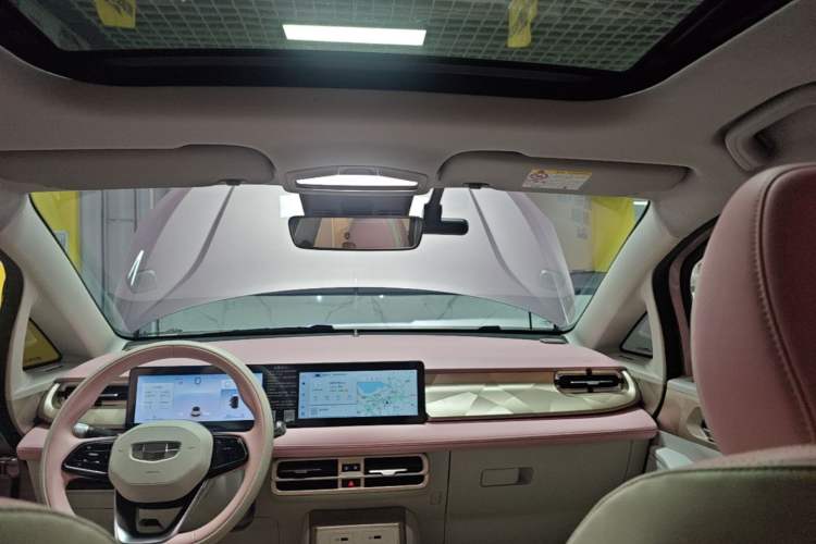 Used Geometry E Firefly 2024 401 km Fluorescent Headliner