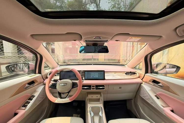Used Geometry E Firefly 2024 401 km Fluorescent Interior 3