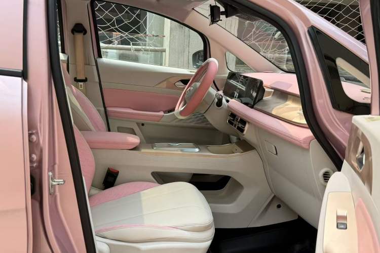 Used Geometry E Firefly 2024 401 km Fluorescent Interior 4