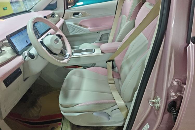 Used Geometry E Firefly 2024 401 km Fluorescent Left Front Seat